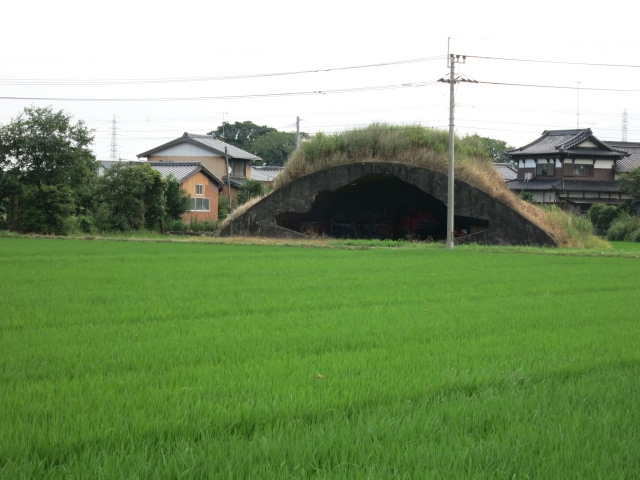 http://www.elashy-mise.jp/IMG_1263.JPG