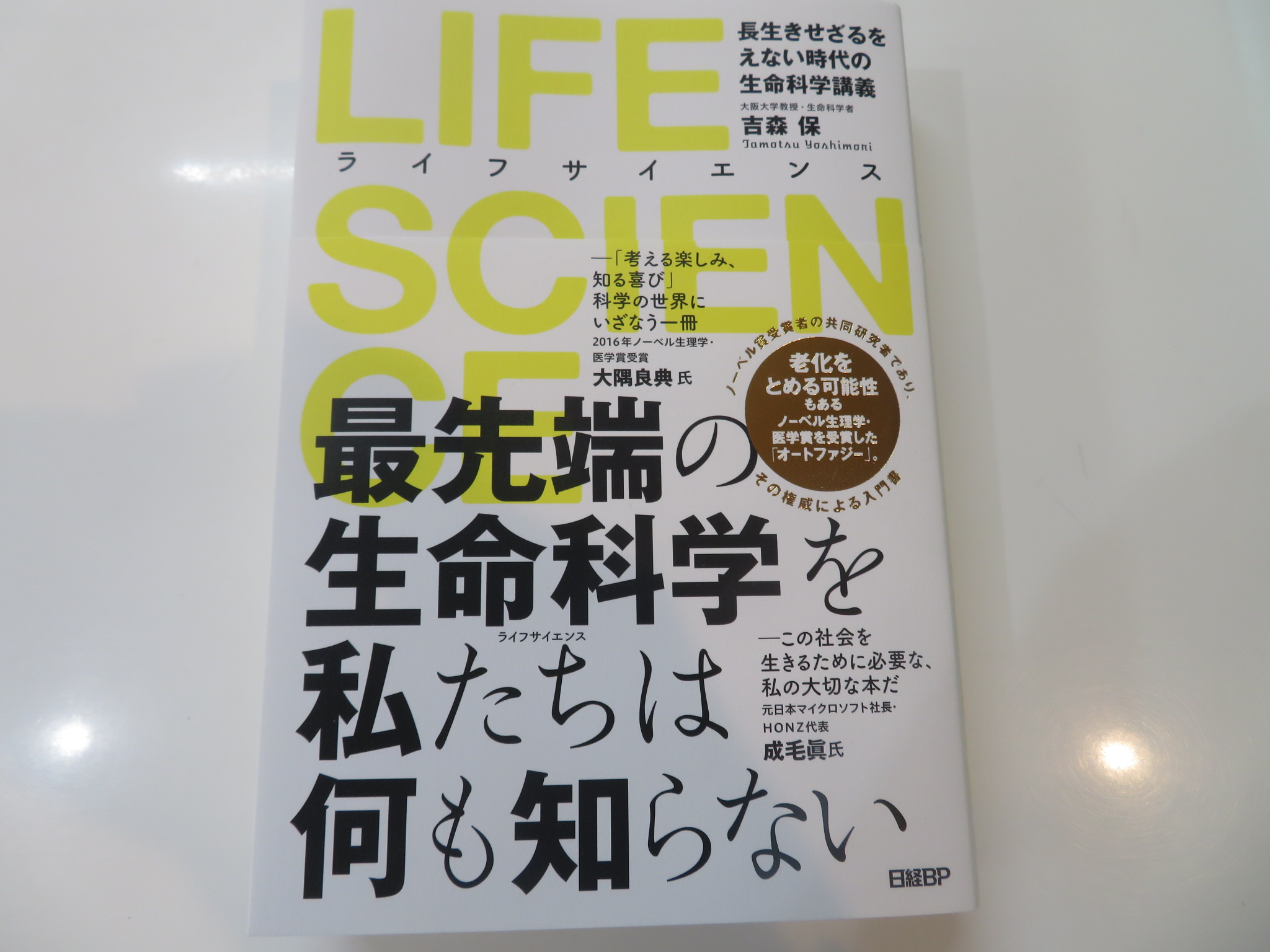 https://www.elashy-mise.jp/IMG_0235.JPG