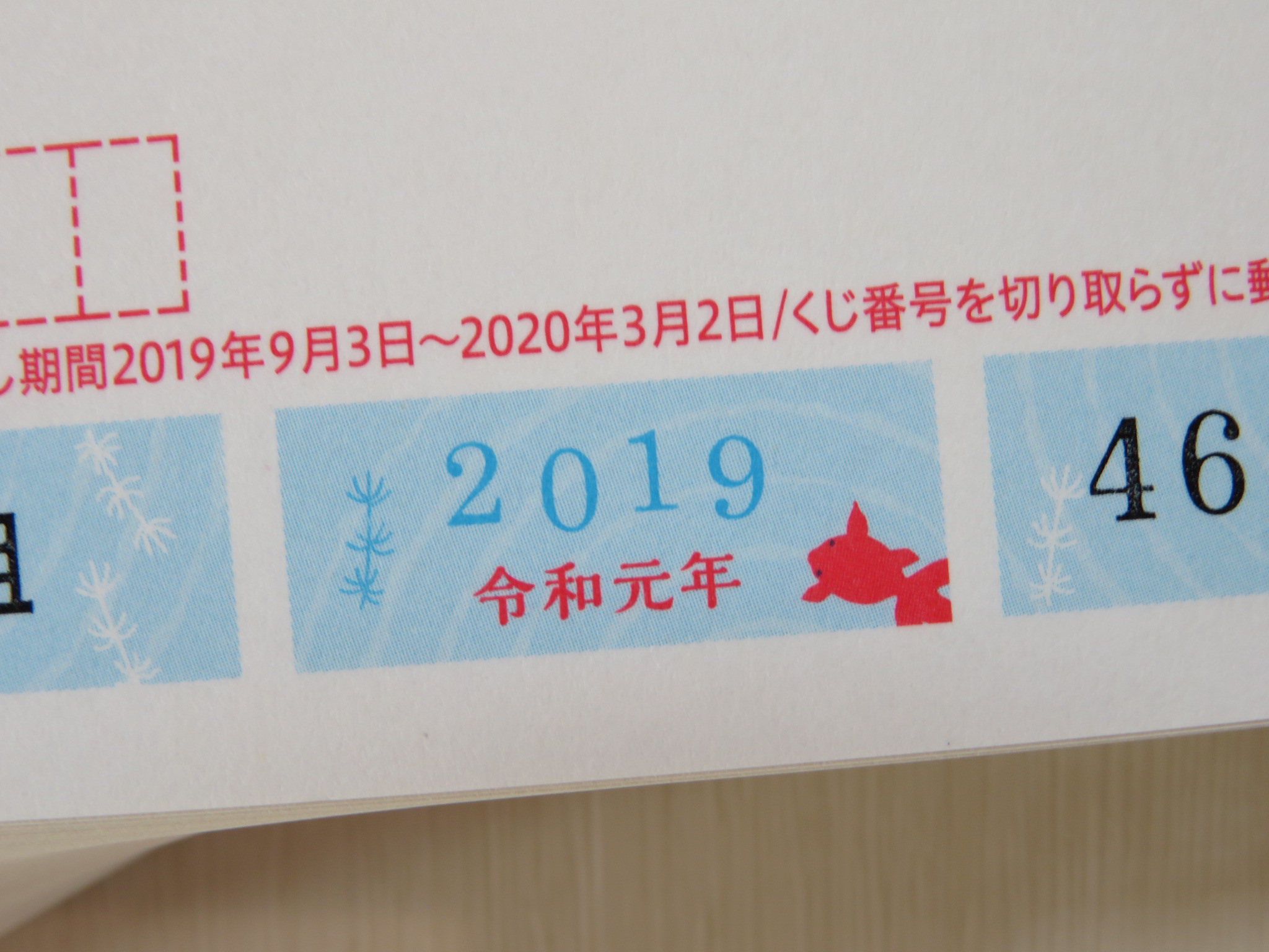 https://www.elashy-mise.jp/IMG_2019r.JPG