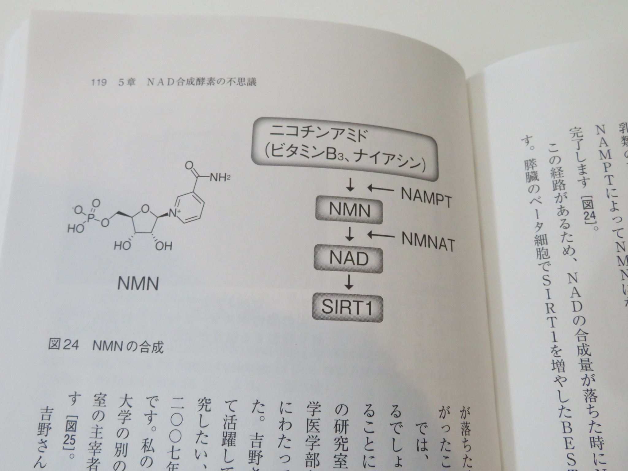 https://www.elashy-mise.jp/IMG_2521c.JPG