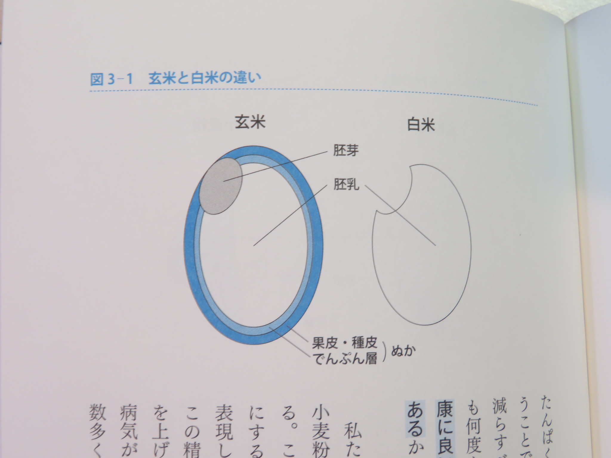 https://www.elashy-mise.jp/IMG_6583.JPG