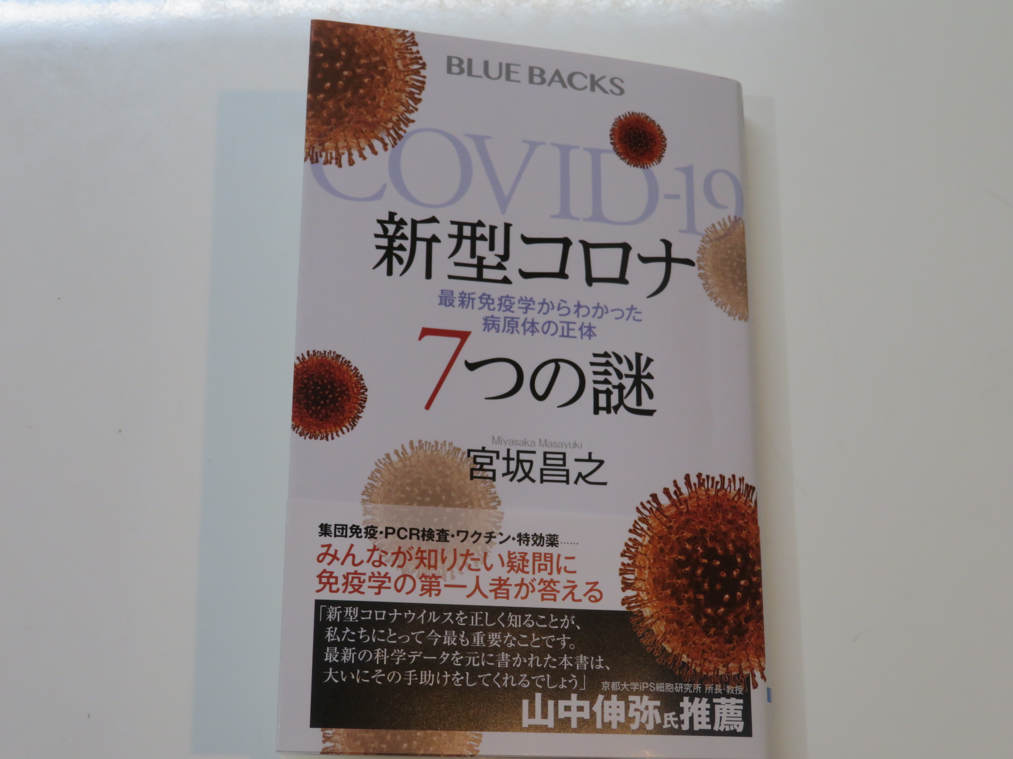 https://www.elashy-mise.jp/IMG_8396.JPG