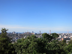 IMG_1308.JPG