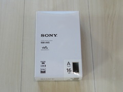 IMG_2219WALKMAN.JPG